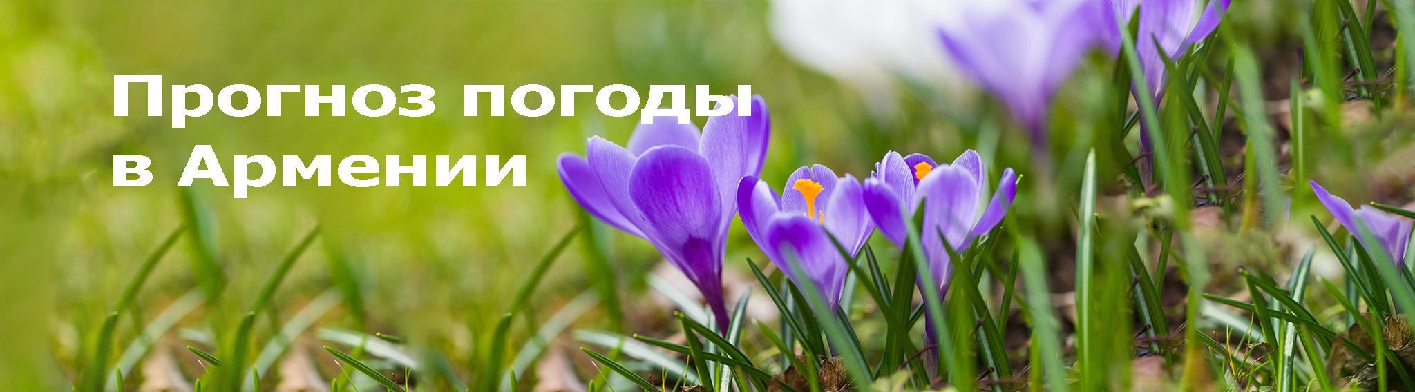 Прогноз погоды в Армении
