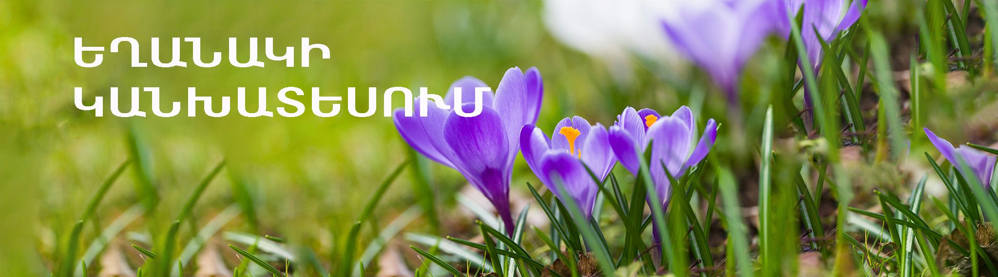 Եղանակի կանխատեսումը Հայաստանում