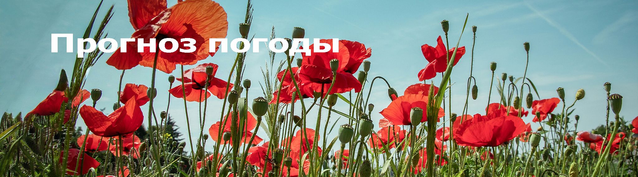 Прогноз погоды в Армении