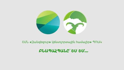 5 июня - Всемирный день окружающей среды и День эколога
