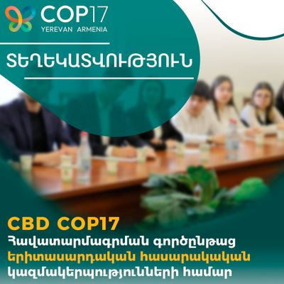 Процесс аккредитации молодежных неправительственных организаций