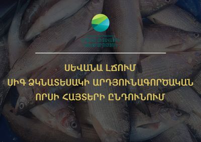 Սահմանվել է Սևանա լճում սիգ ձկնատեսակի  արդյունագործական որսի չափաքնակը